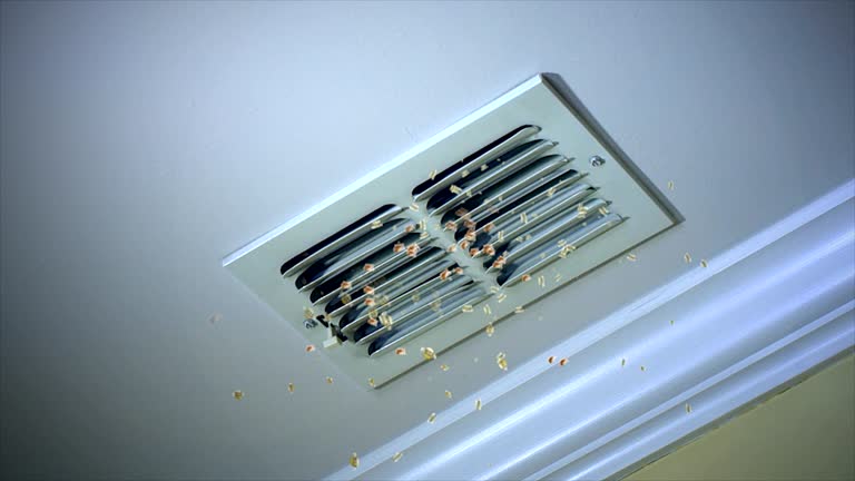 Best Ventilation Cleaning Services  in Whitestown, IN