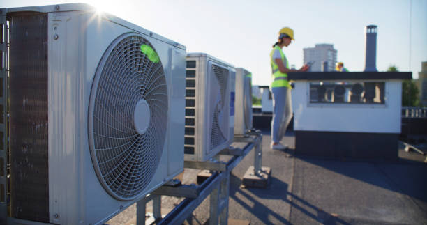 Best Air Duct Sanitizing Services  in Whitestown, IN
